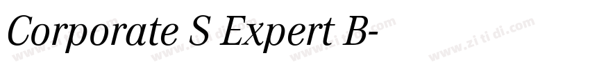 Corporate S Expert B字体转换